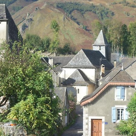 Gite Montagne Et Vie Bedous Ngoại thất bức ảnh