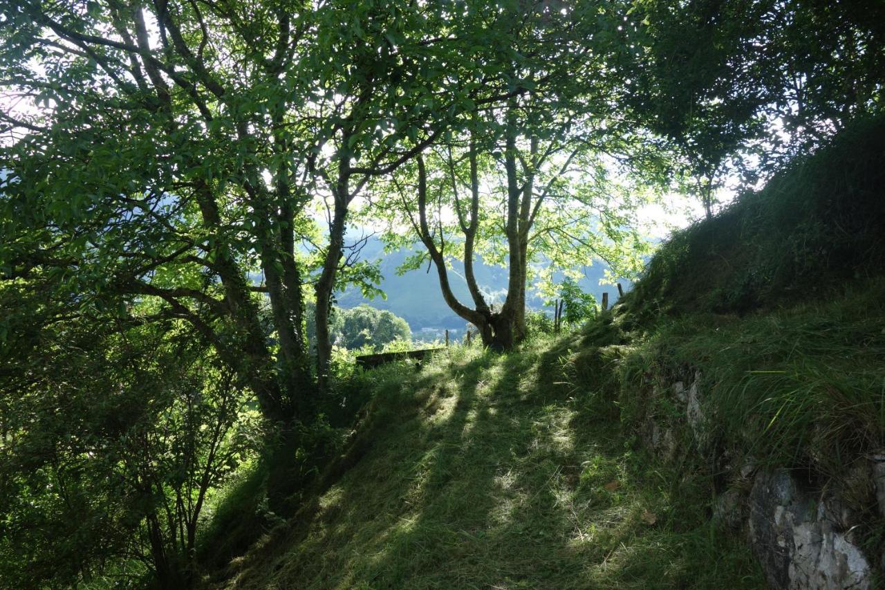 Gite Montagne Et Vie Bedous Ngoại thất bức ảnh