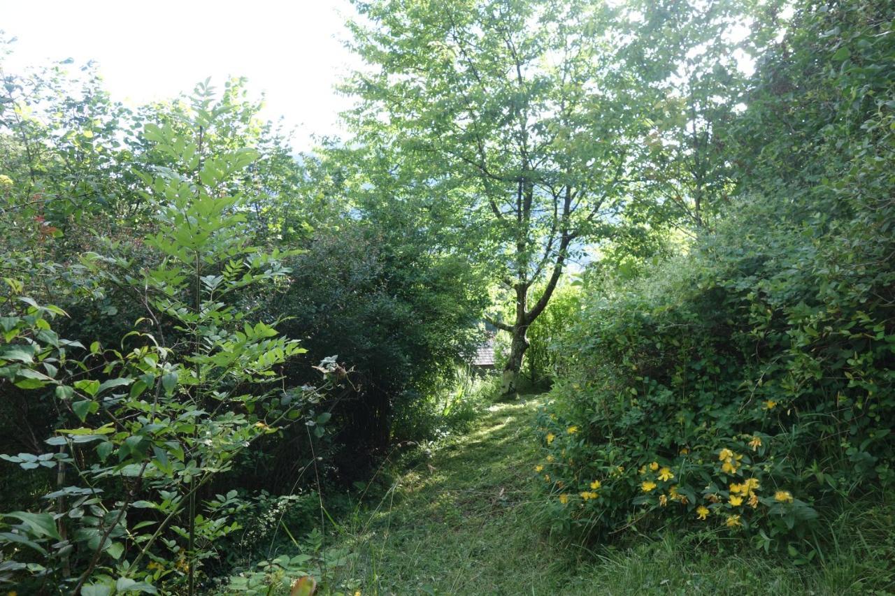 Gite Montagne Et Vie Bedous Ngoại thất bức ảnh