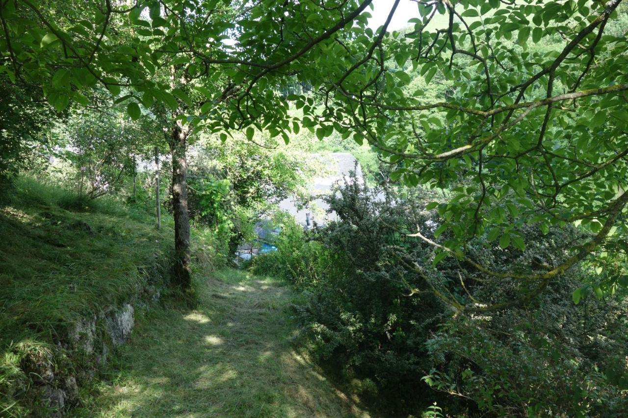 Gite Montagne Et Vie Bedous Ngoại thất bức ảnh